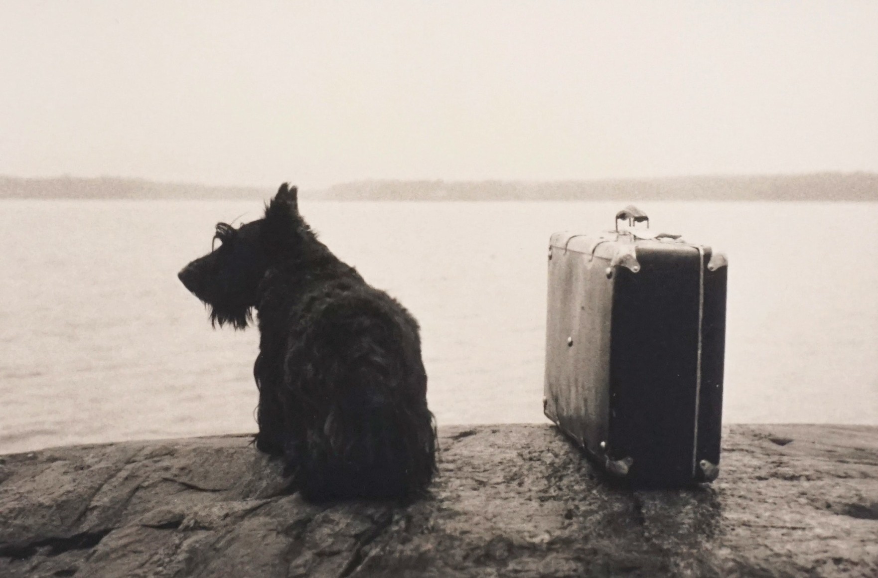 KRISTOFFER ALBRECHT , Dog with Suitcase, 1982