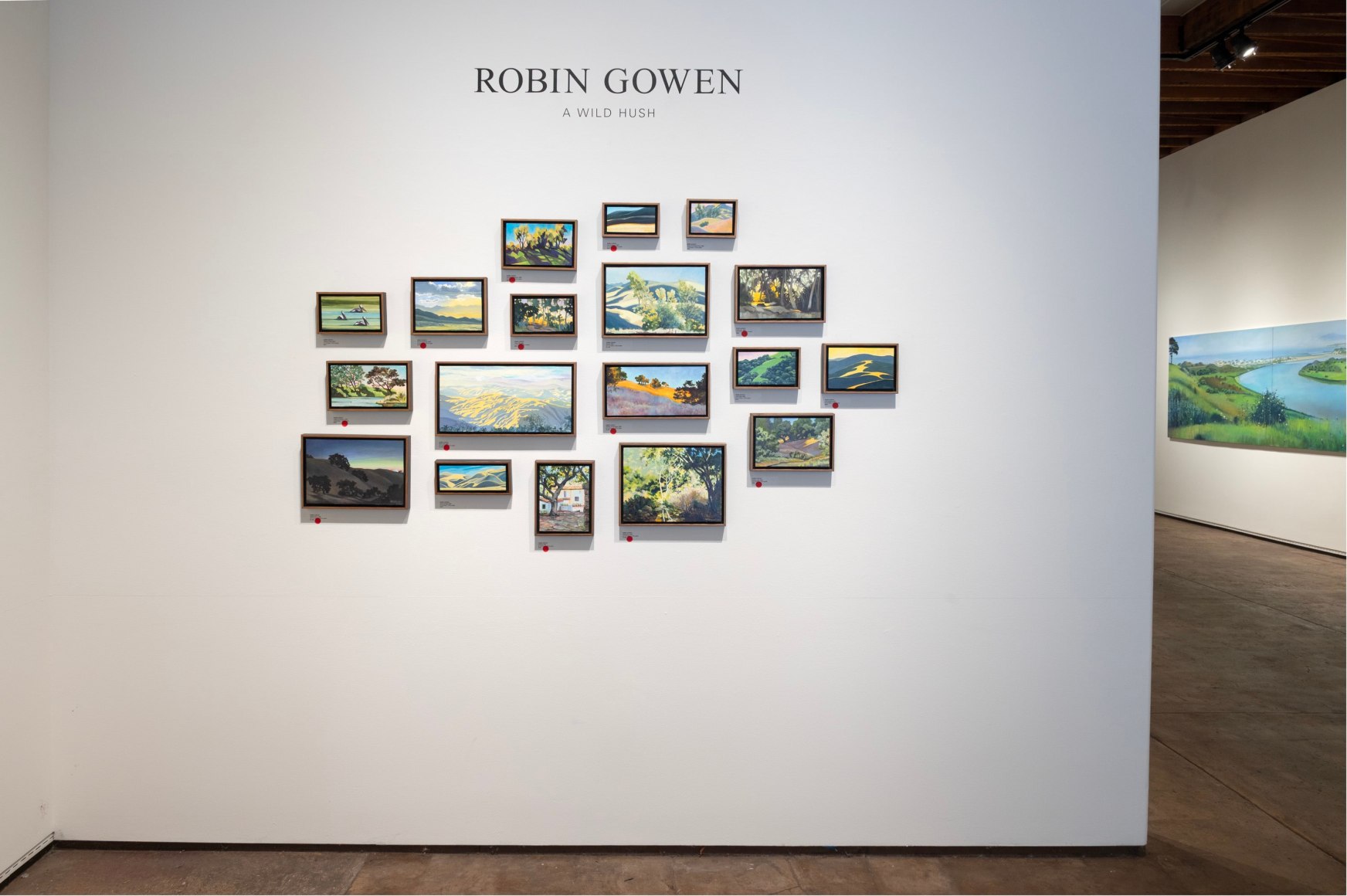 ROBIN GOWEN: A Wild Hush 2025 installation photo