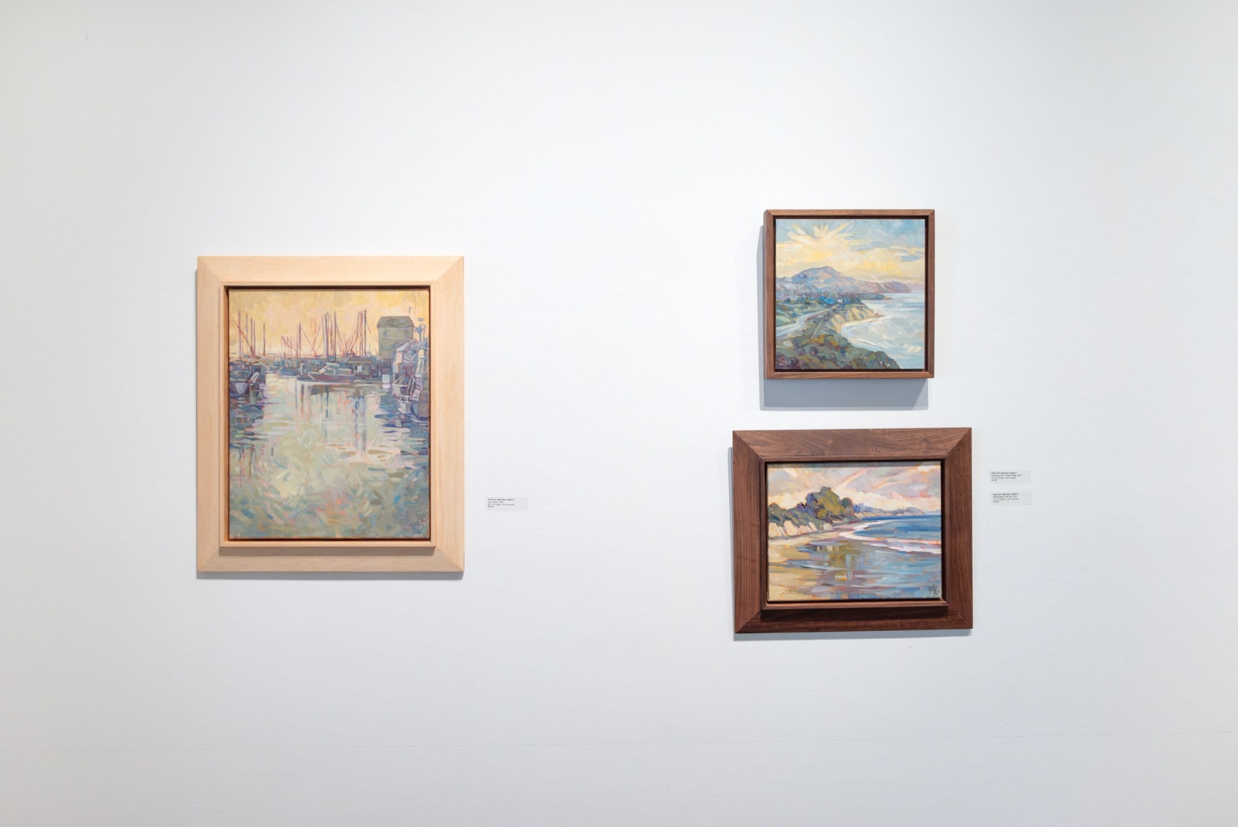 Whitney Brooks Abbott Field Notes Installation shot