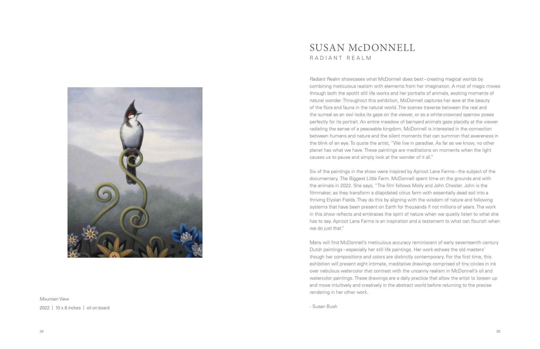 SUSAN McDONNELL: Radiant Realm pages 34 and 35