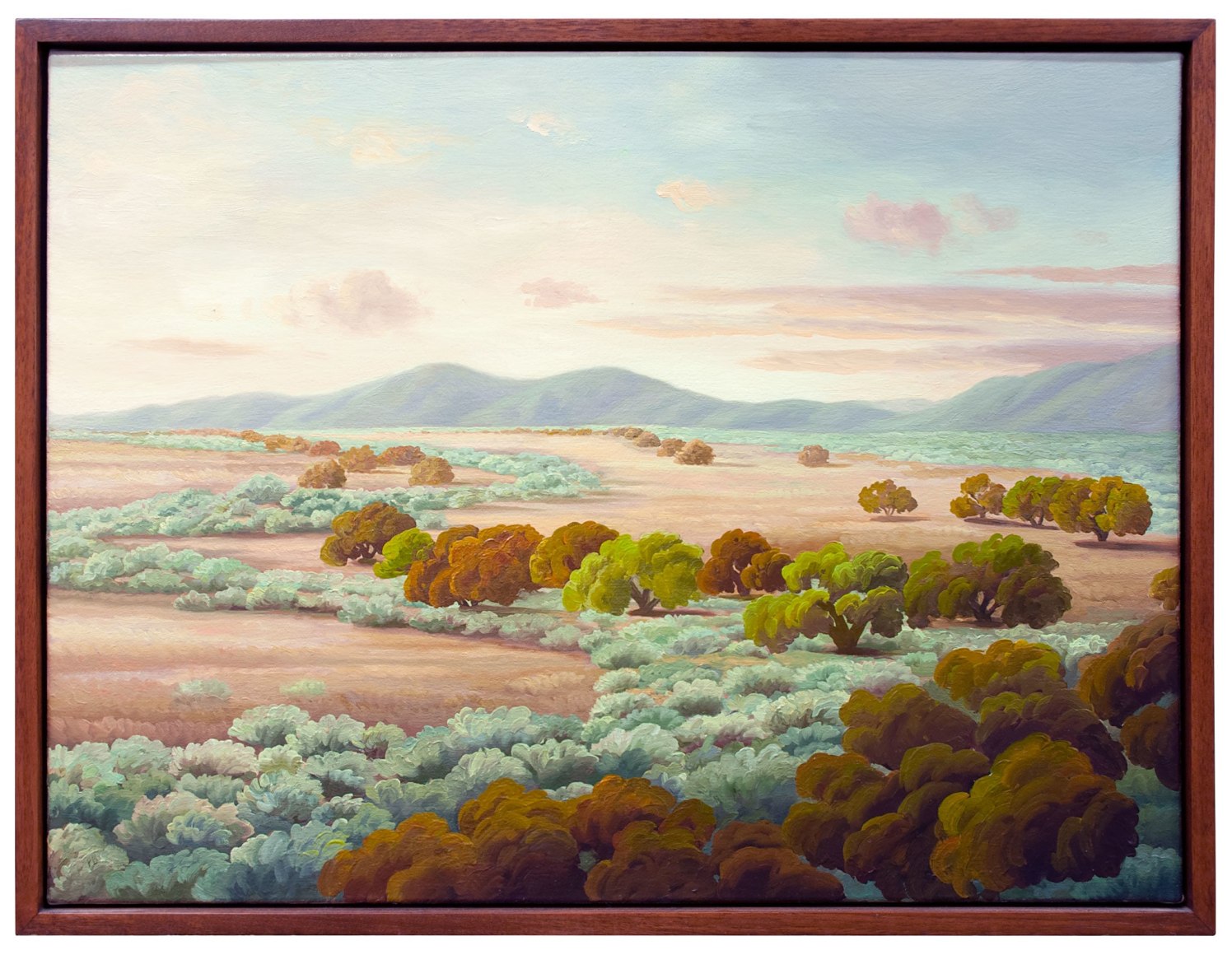 PHOEBE BRUNNER , Sage and Oaks,