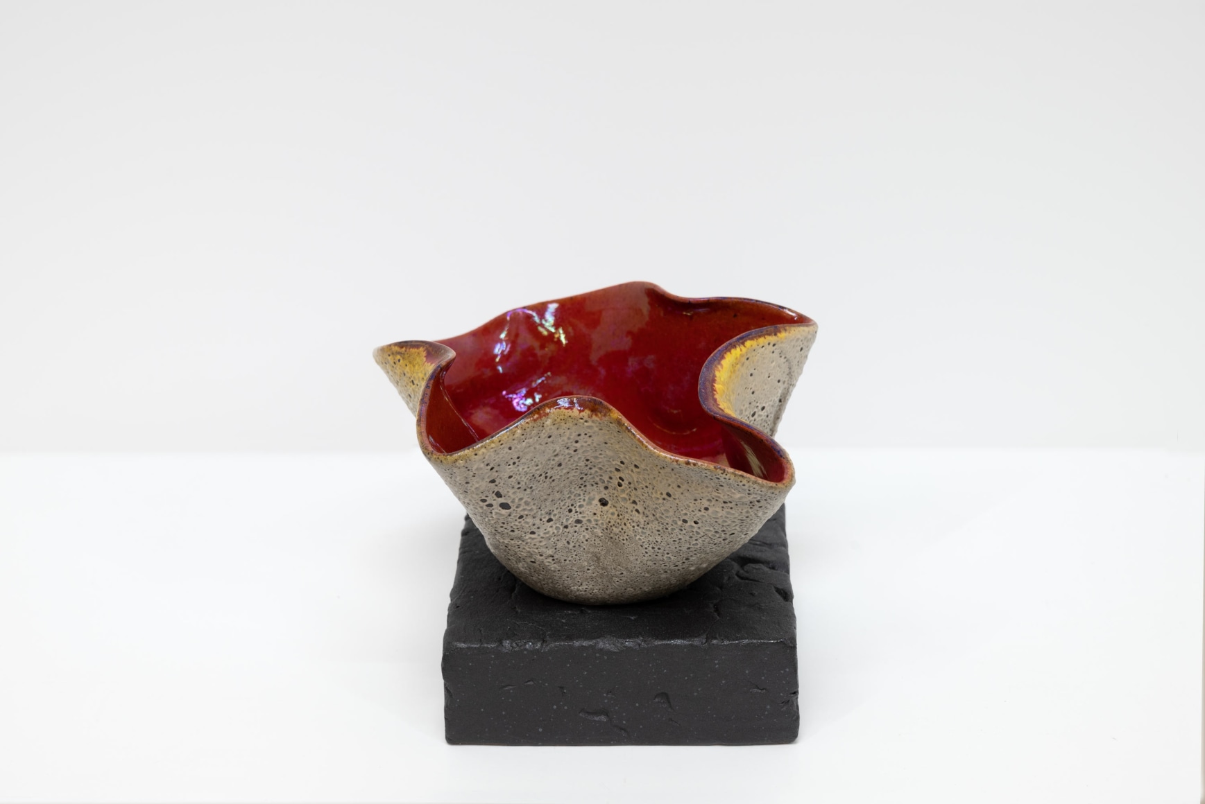 JAMES HAGGERTY, Flor Rubra #10, 2025