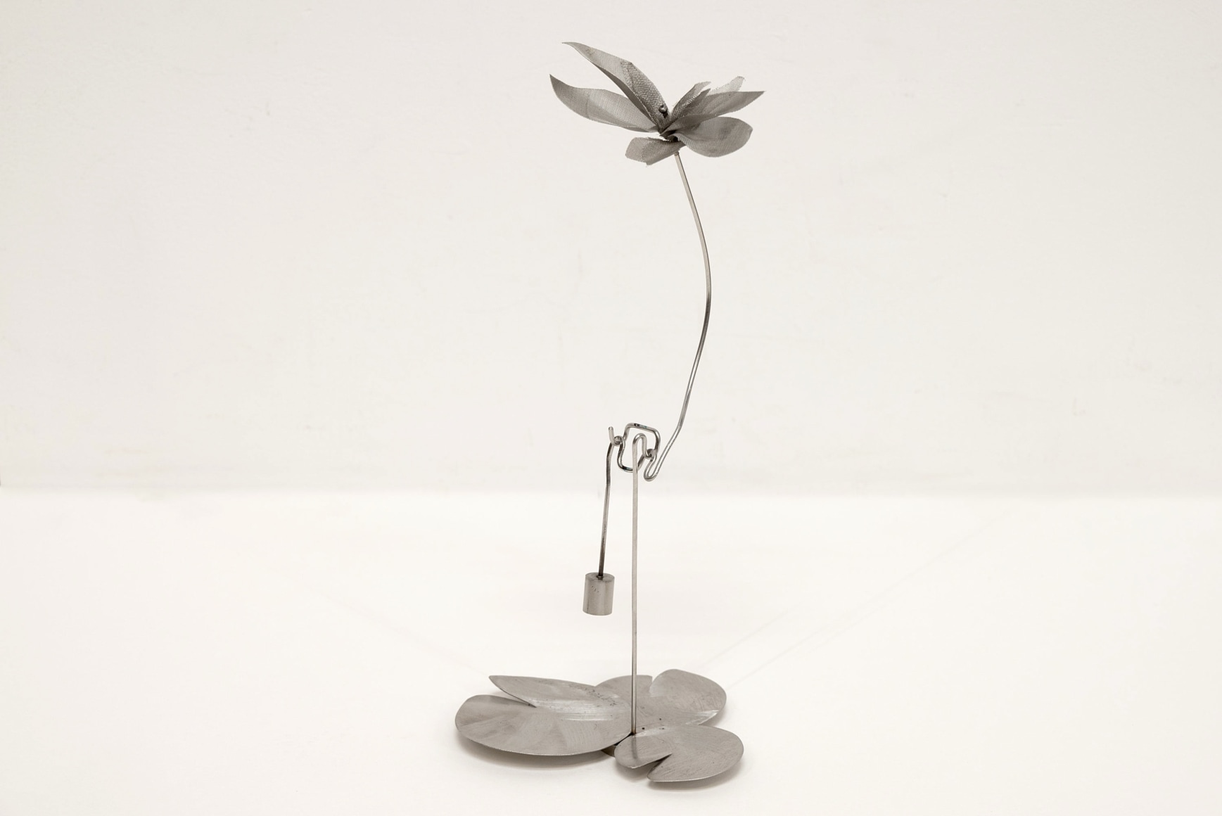 KEN BORTOLAZZO , Lotus 1&bull;2, 2025