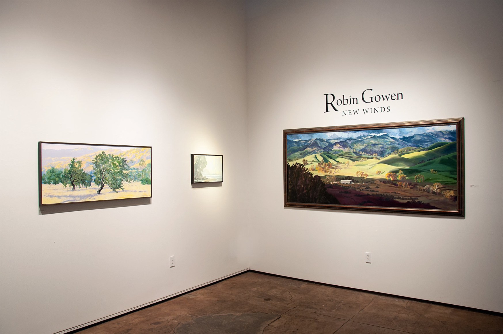 ROBIN GOWEN: New Winds installation photograph