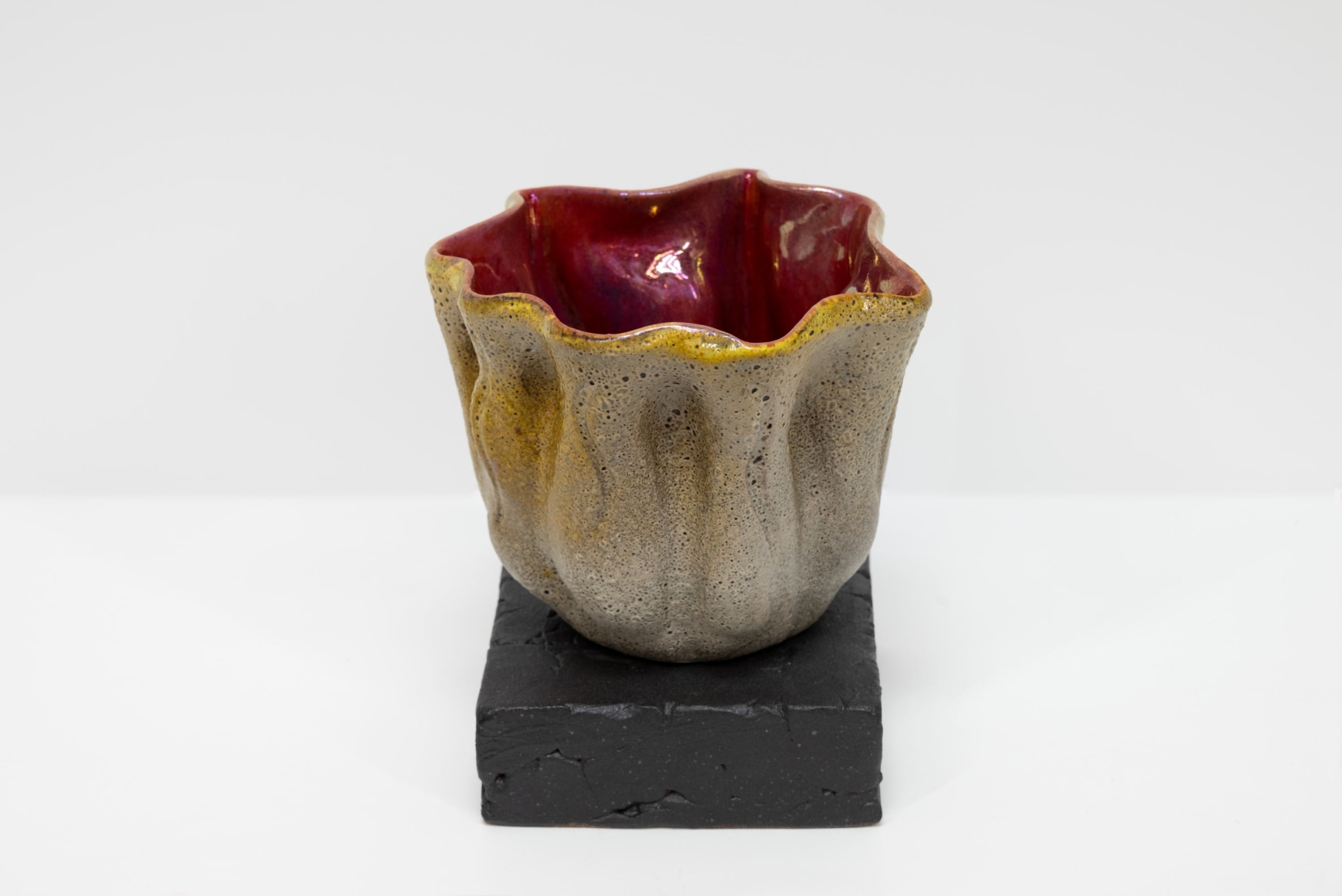 JAMES HAGGERTY, Flor Rubra #9, 2025