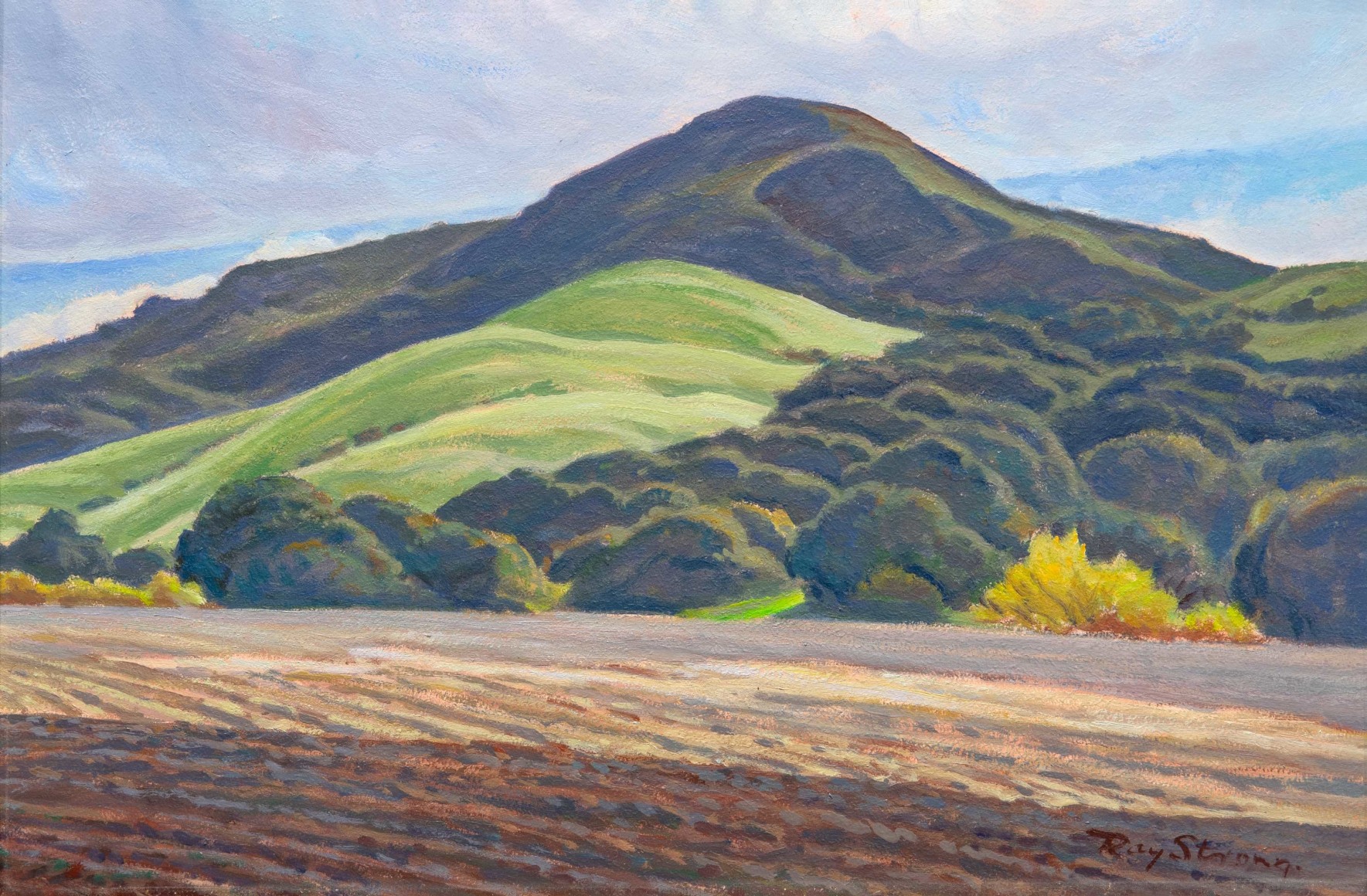 Ray Strong (1905-2006), Bob Isaacson's Bean Patch, 1995
