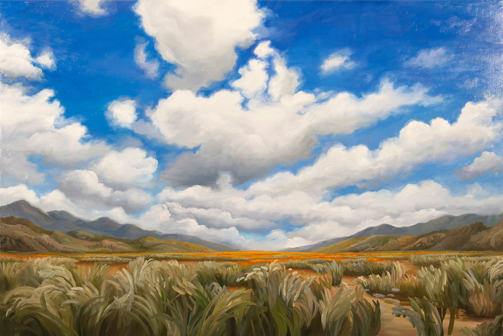 PHOEBE BRUNNER , Coming Home,