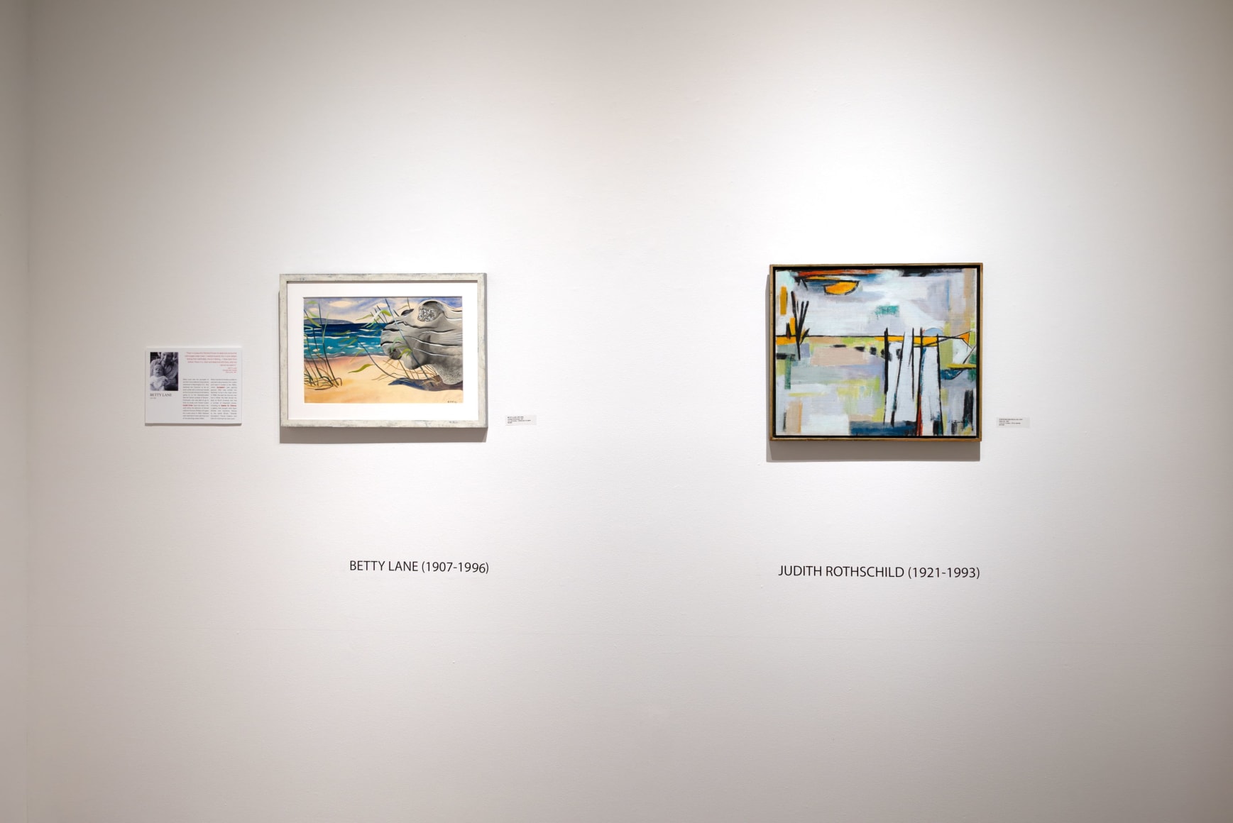 P-Town in S.B. Installation shot