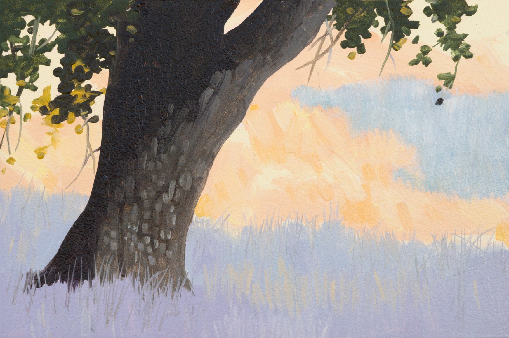 ROBIN GOWEN , Grass Shadows, 2024