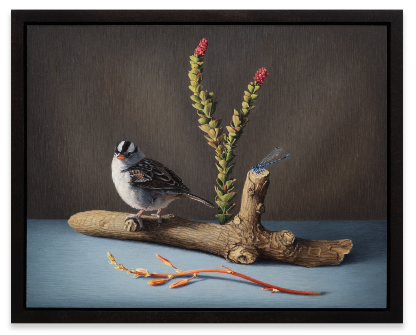 SUSAN MCDONNELL , White-Crowned Sparrow, 2023