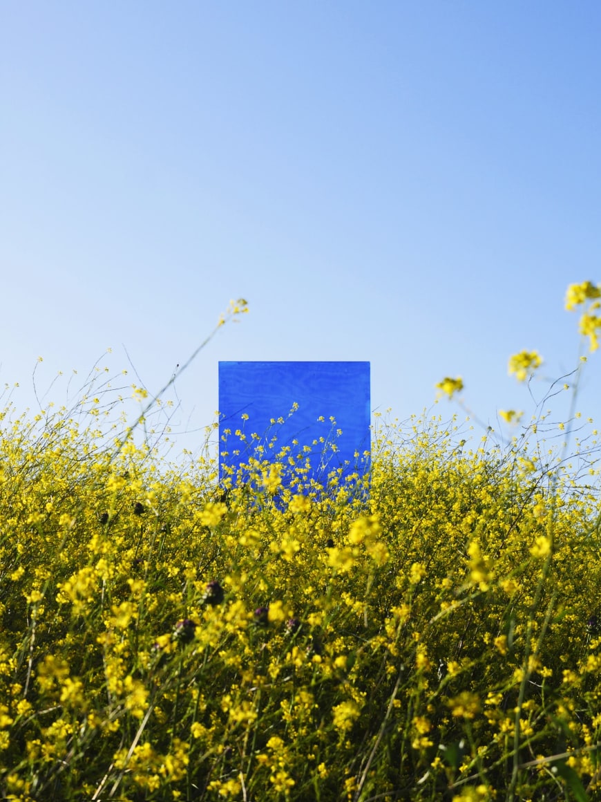 BLAKENEY SANFORD , The Portals - California Mustard, 05.19.20, Santa Barbara County, CA, 2020