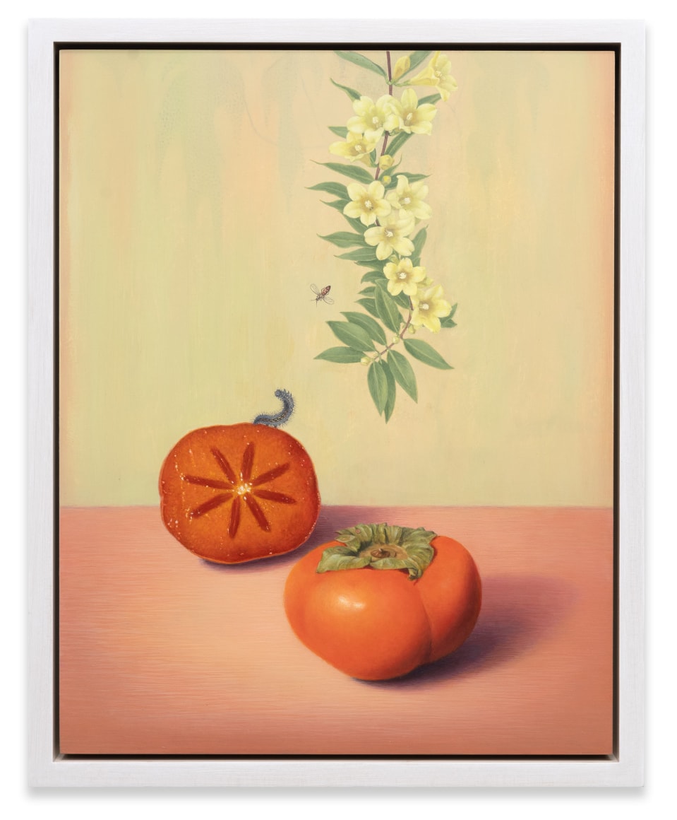 SUSAN MCDONNELL , Persimmons, 2023