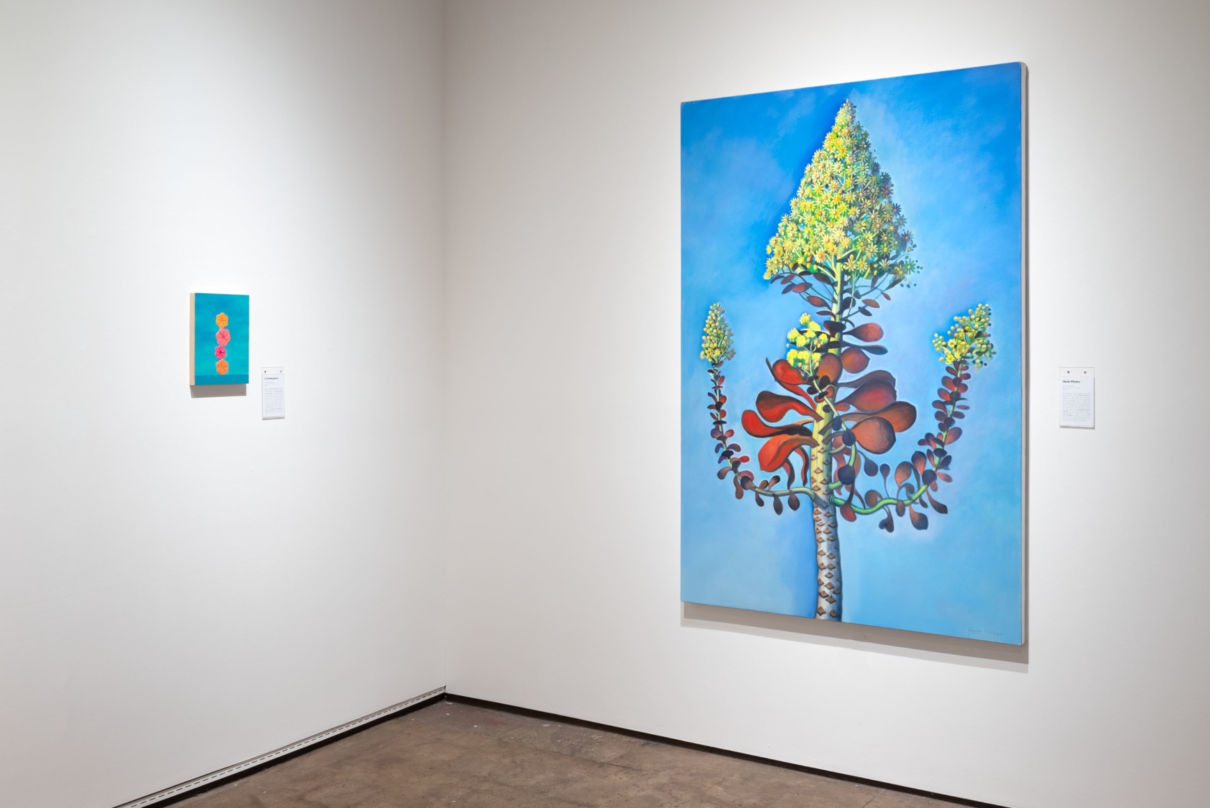 Wonderland 2024 Installation shot