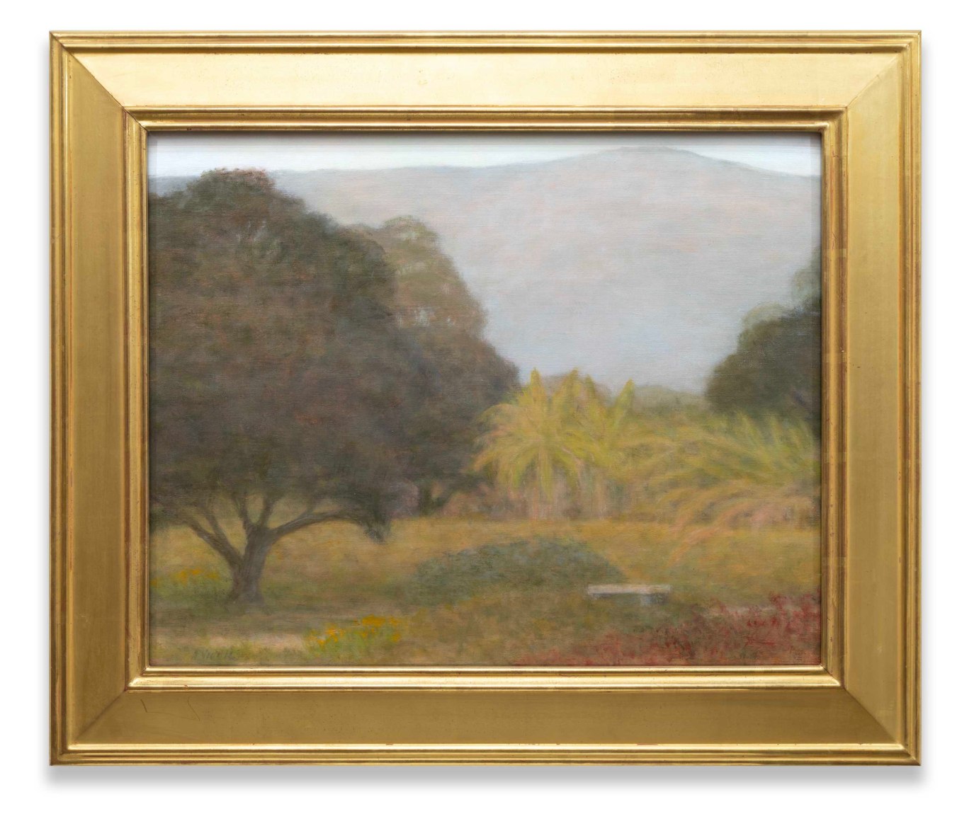 SARAH VEDDER , From the Insectary, 2023