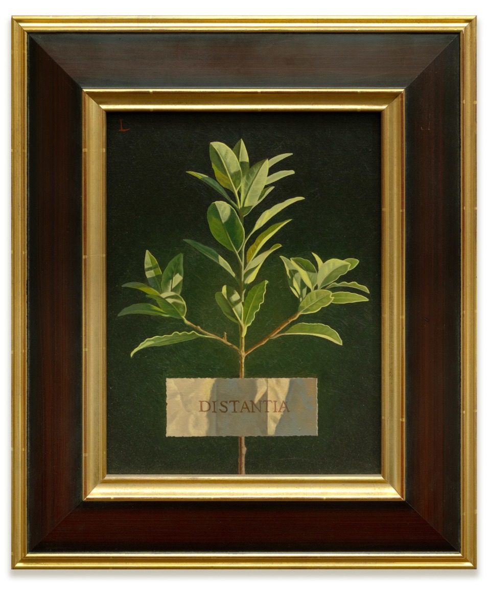 DAVID LIGARE , Distantia - Distance, 2001