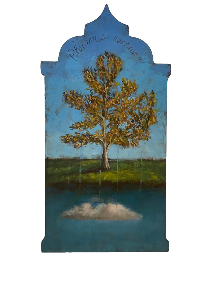 HOLLI HARMON , Sequestering, Platunus Racermosa, 2022