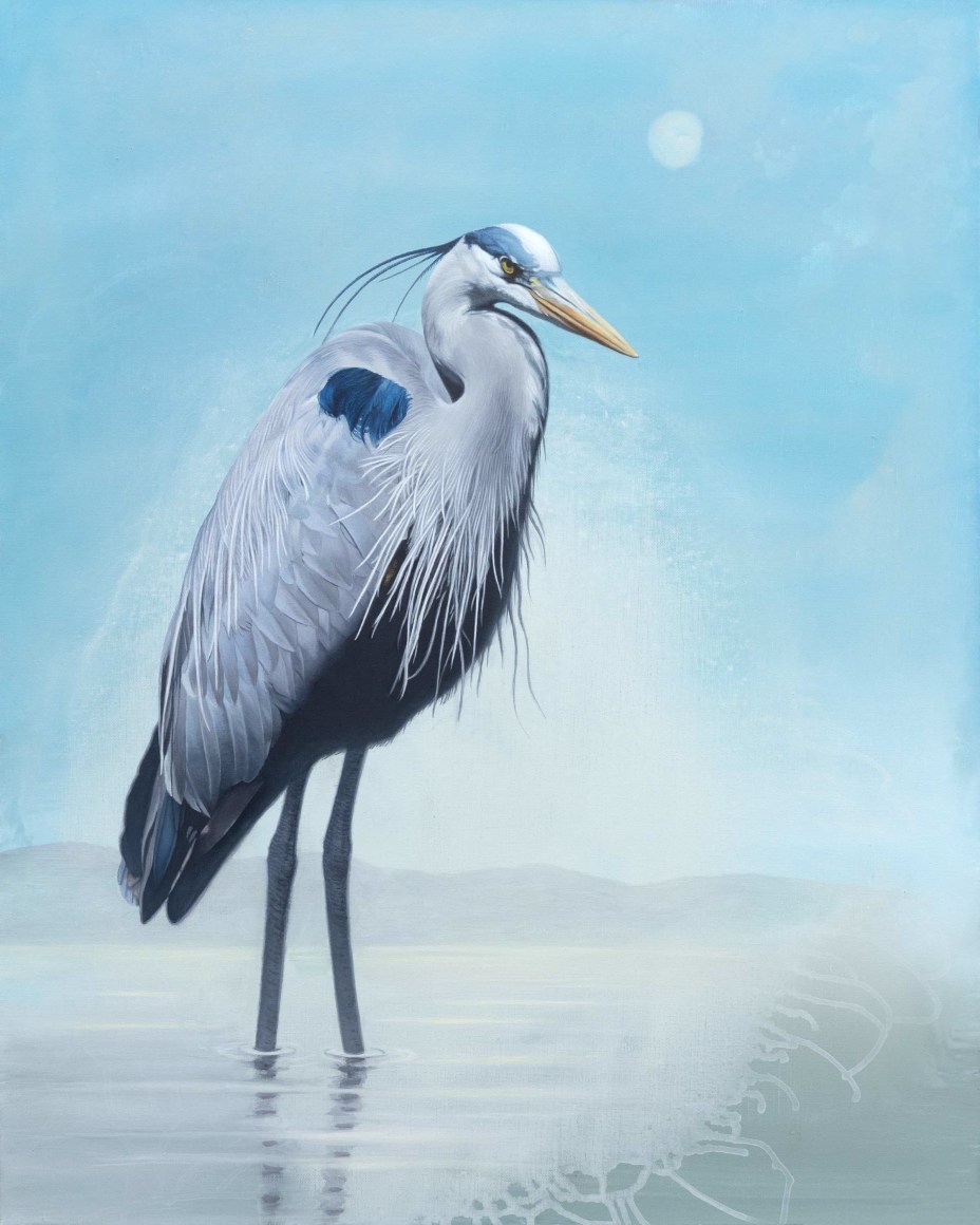 SUSAN MCDONNELL, Blue Heron, 2023
