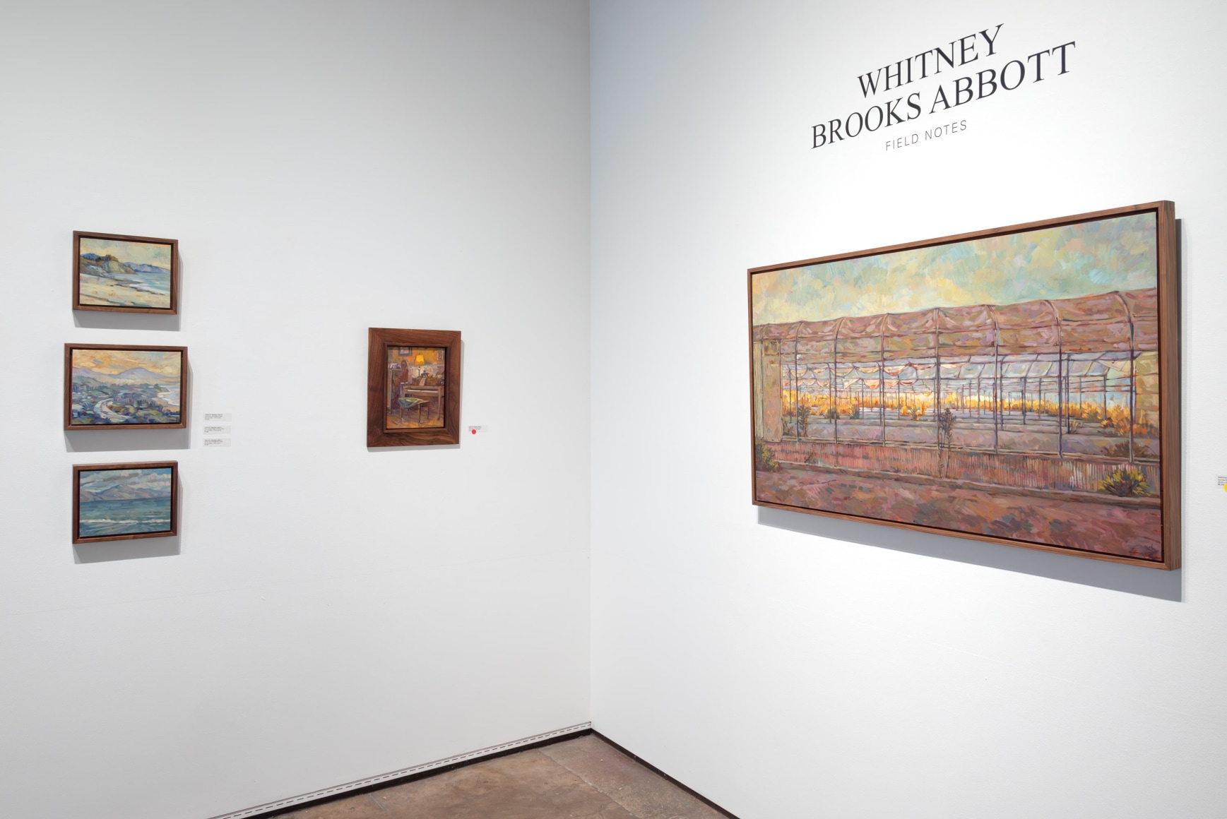 Whitney Brooks Abbott Field Notes Installation shot