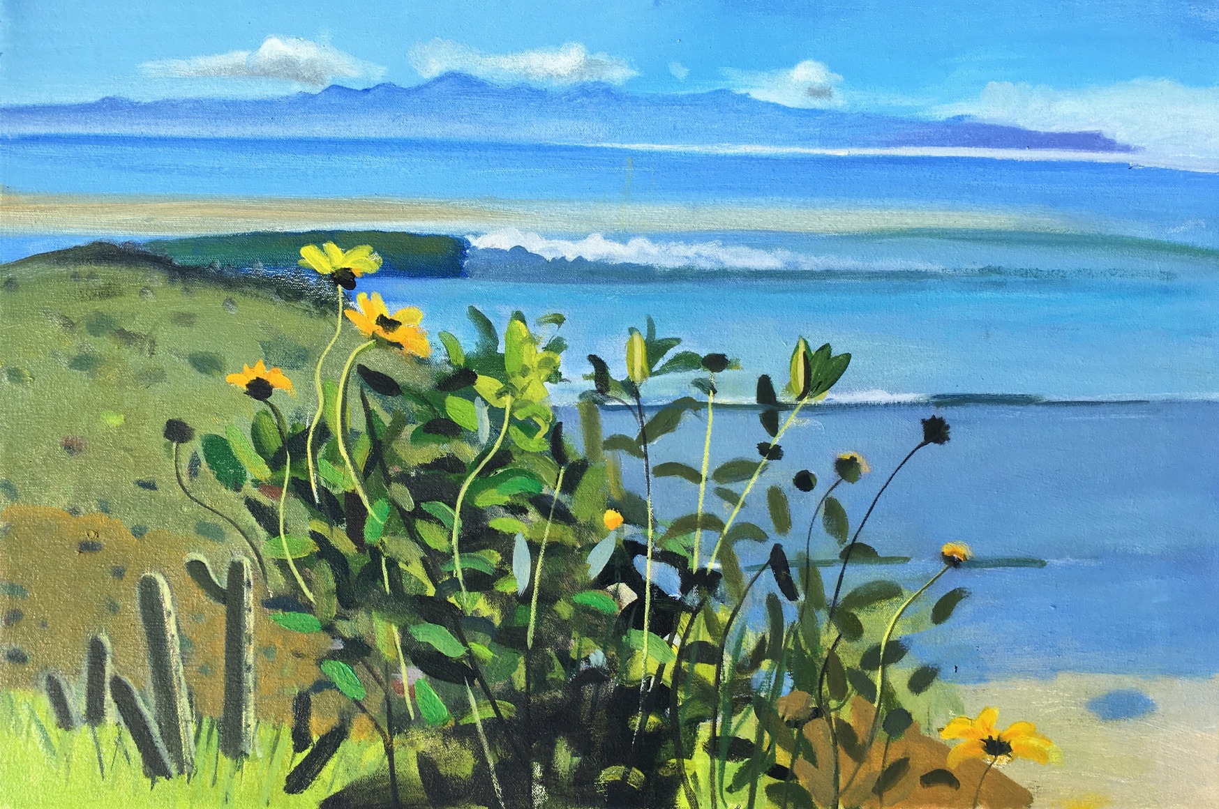 Hank Pitcher, Coal Oil Point, Encielia, 2017