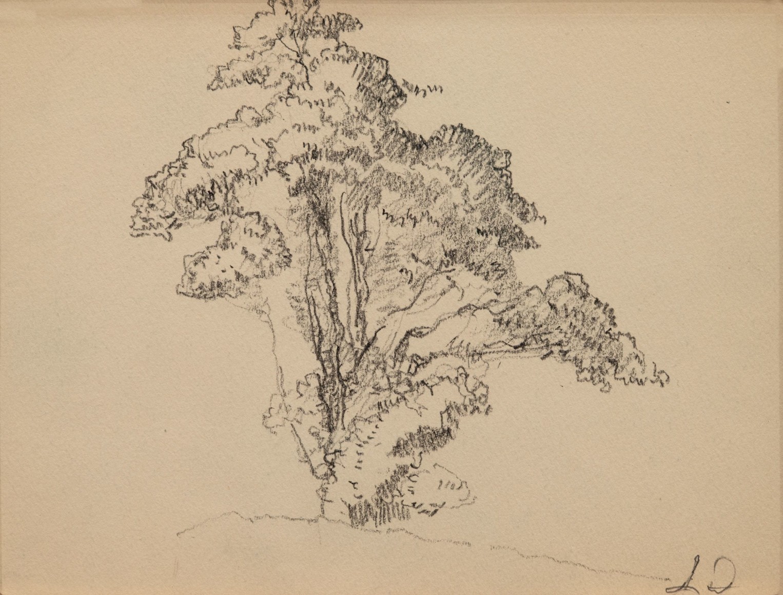 LEON DABO (1864-1960) , Tree With Bushy Trunk, ND