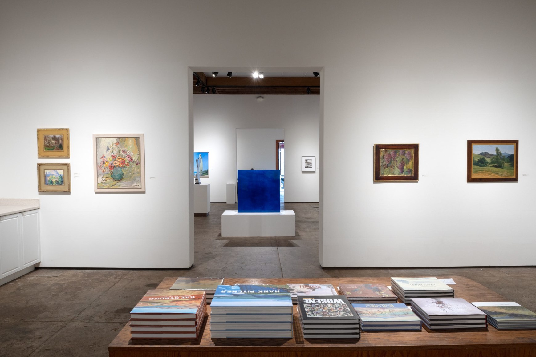 Installation photo for Fall Salon, 2023