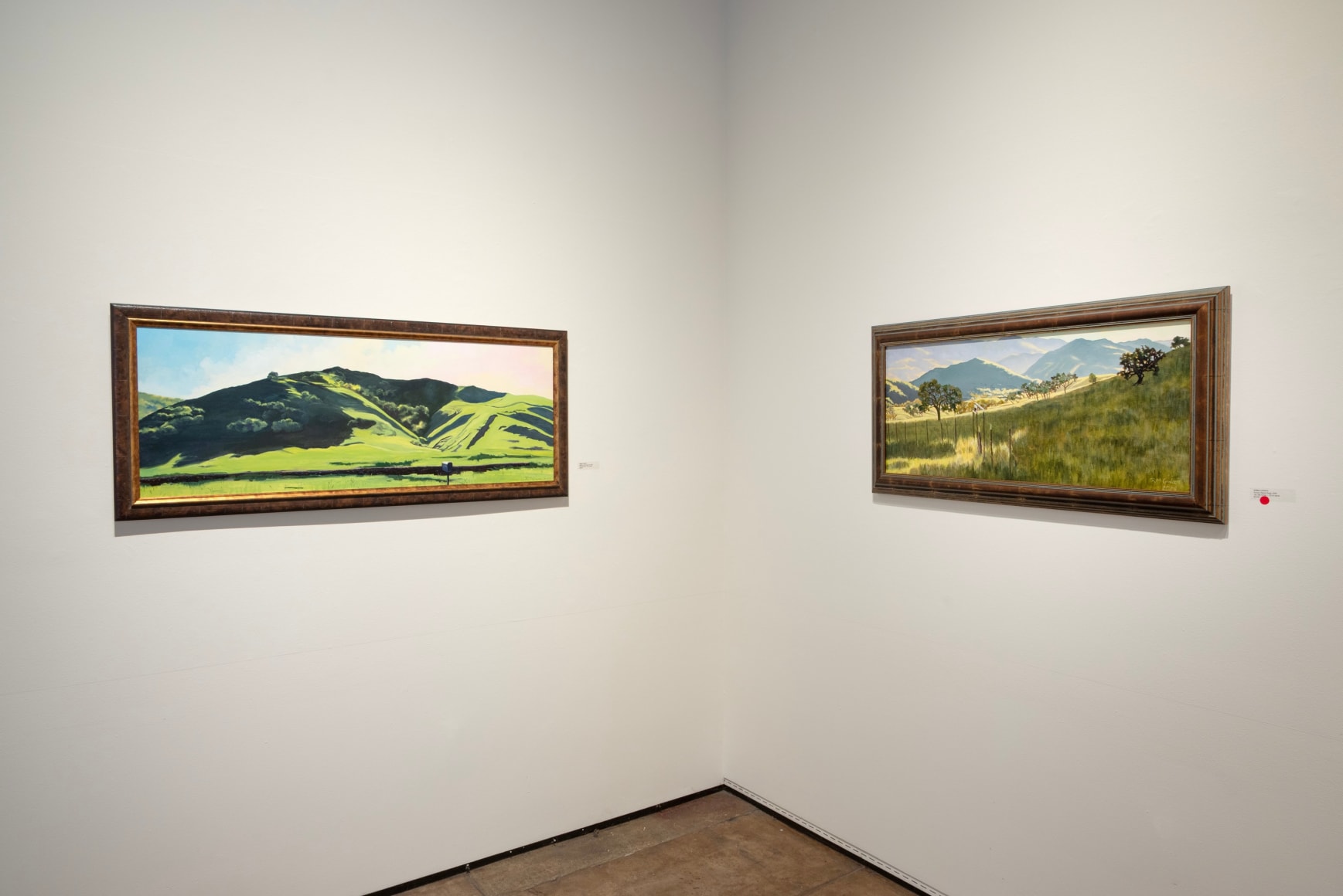 ROBIN GOWEN: A Wild Hush 2025 installation photo