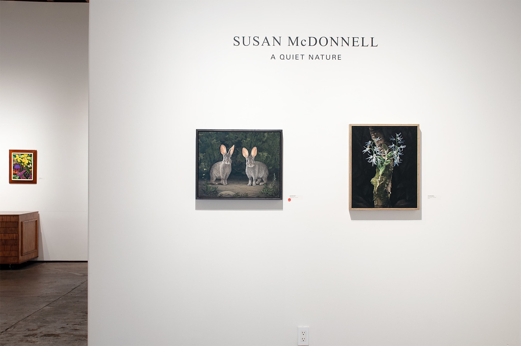 Installation photograph of SUSAN McDONNELL: A Quite Nature