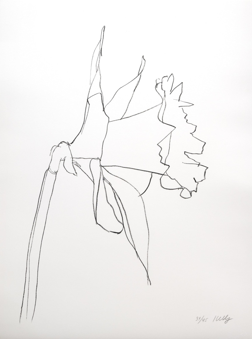 ELLSWORTH KELLY (1923-2015), Daffodil, 2004