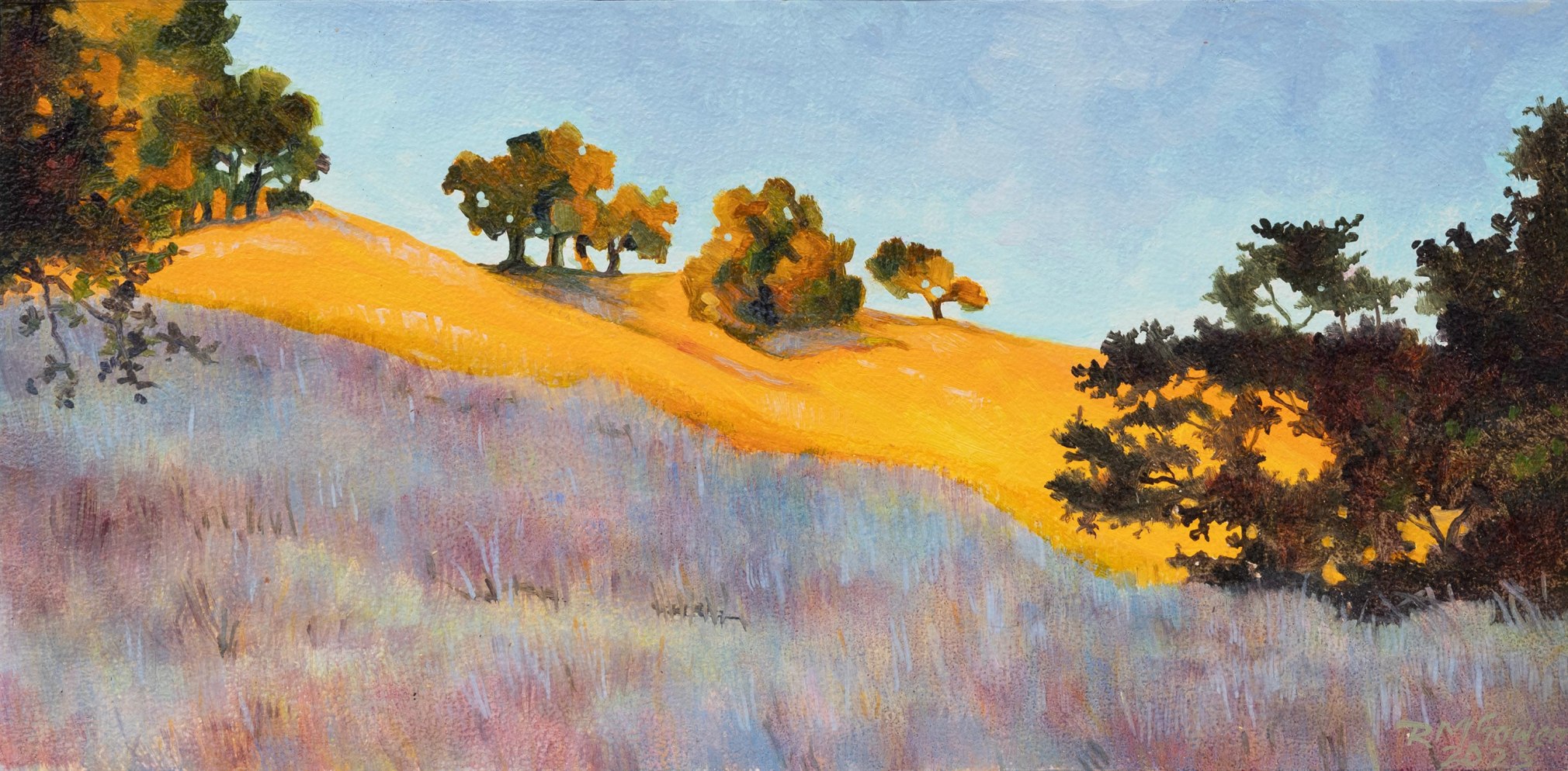 ROBIN GOWEN , Shadow on the Grass, 2025