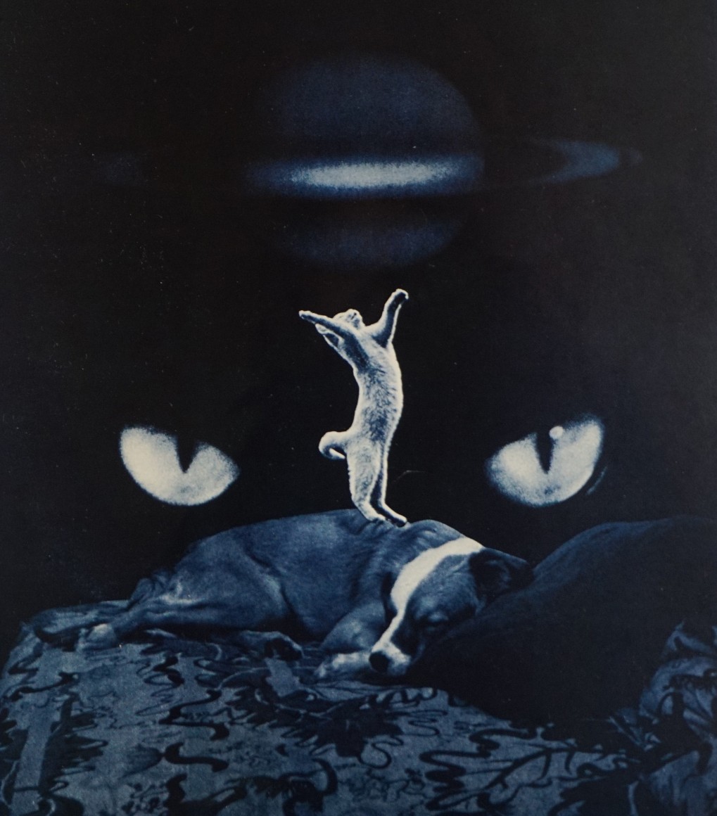 Closing of the Fillmore West - Band - Items - Bahr Gallery