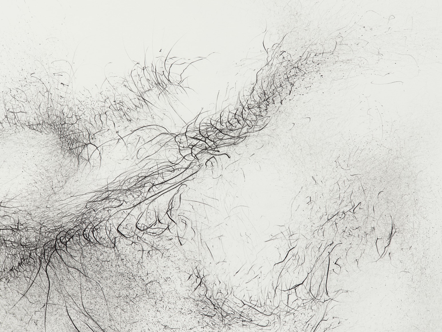Gustavo D&iacute;az, Untitled (detail), 2022. Graphite on paper, 30 x 44 5/8 in.