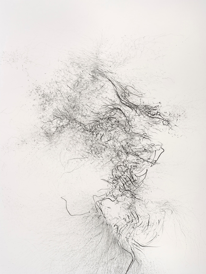 Gustavo D&iacute;az, Flock ascending to the quantum garden, 2021. Graphite on paper,&nbsp;48 &frac14; x 33 &frac34; x 2 ⅛ in. (122.7 x 85.6 x 5.4 cm.)