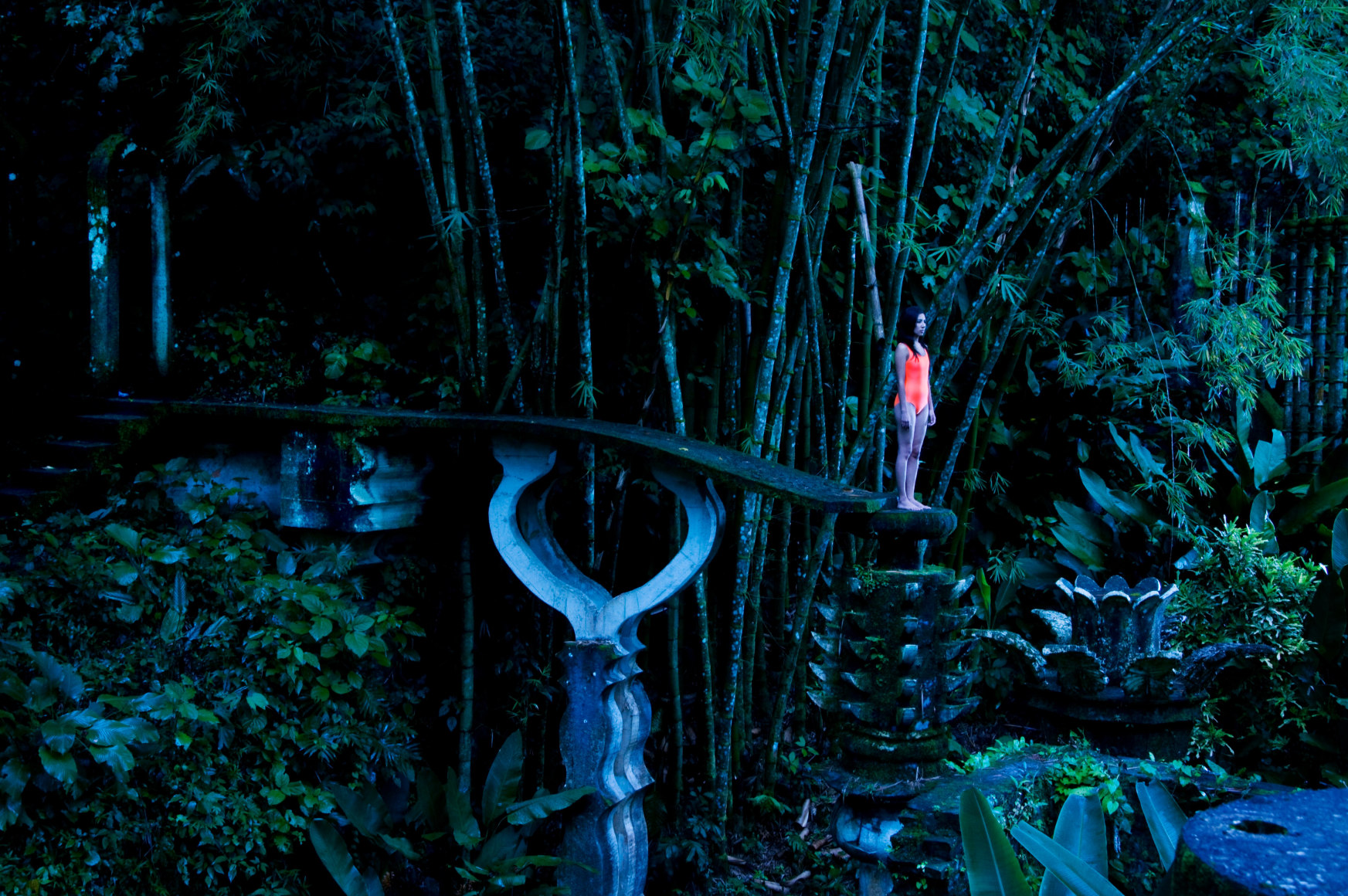 Melanie Smith, Fleur de Lys, 2010. Digital impression on cotton paper, 44 x 61 in.