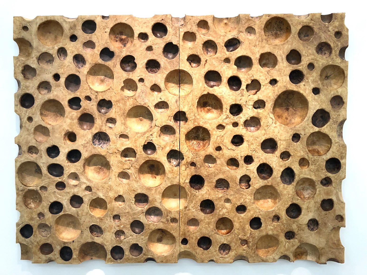 Mu&eacute;gano 179 [diptych], 2018. Gourd cups, polyurethane foam, acrylic medium, bees wax, 72 1/32 x 94 x 4 5/16 in. (183 x 238.8 x 11 cm.)
