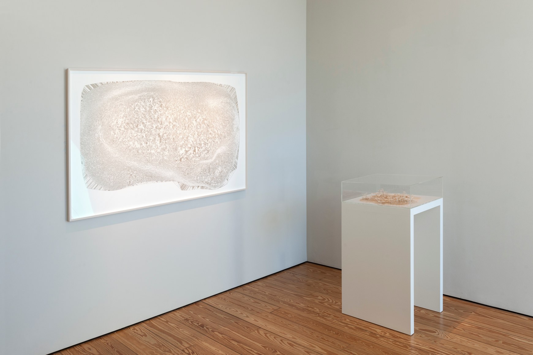 Common Ground. Sicardi | Ayers | Bacino, 2018