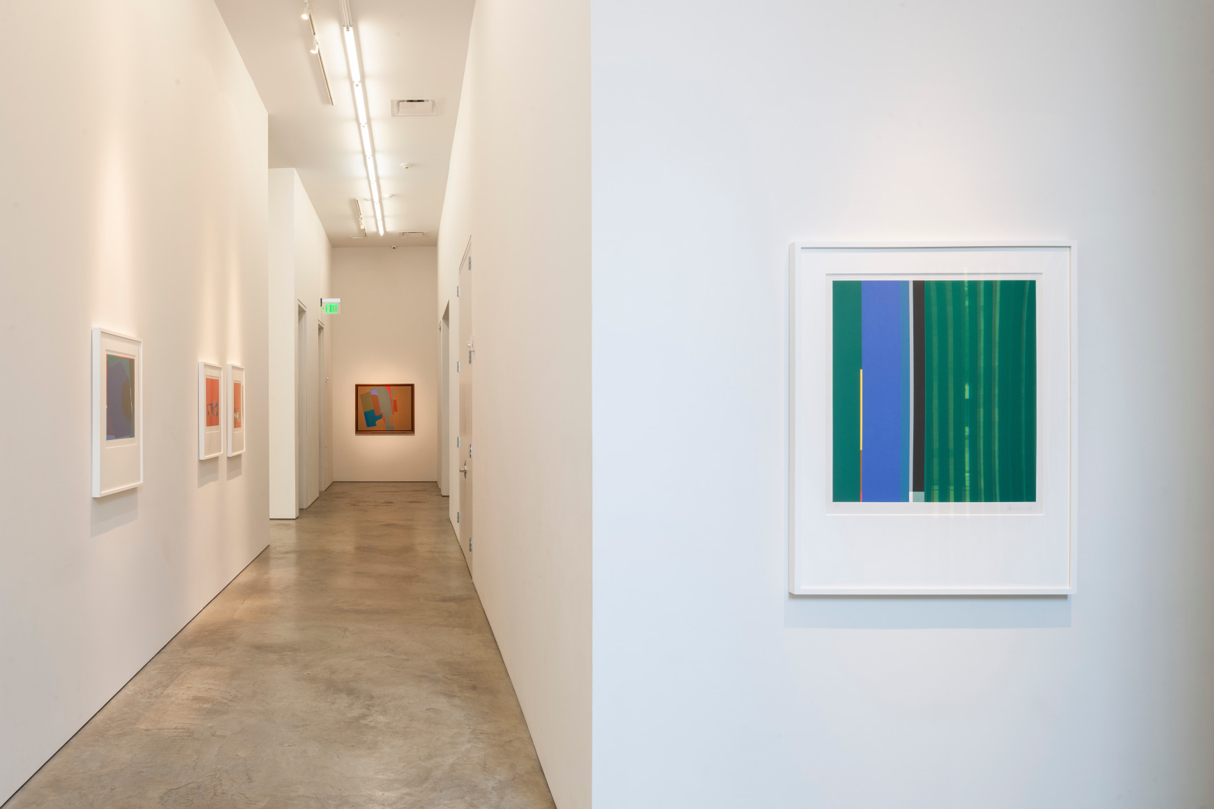 Mercedes Pardo,&nbsp;Beyond Color. Sicardi | Ayers | Bacino, 2018