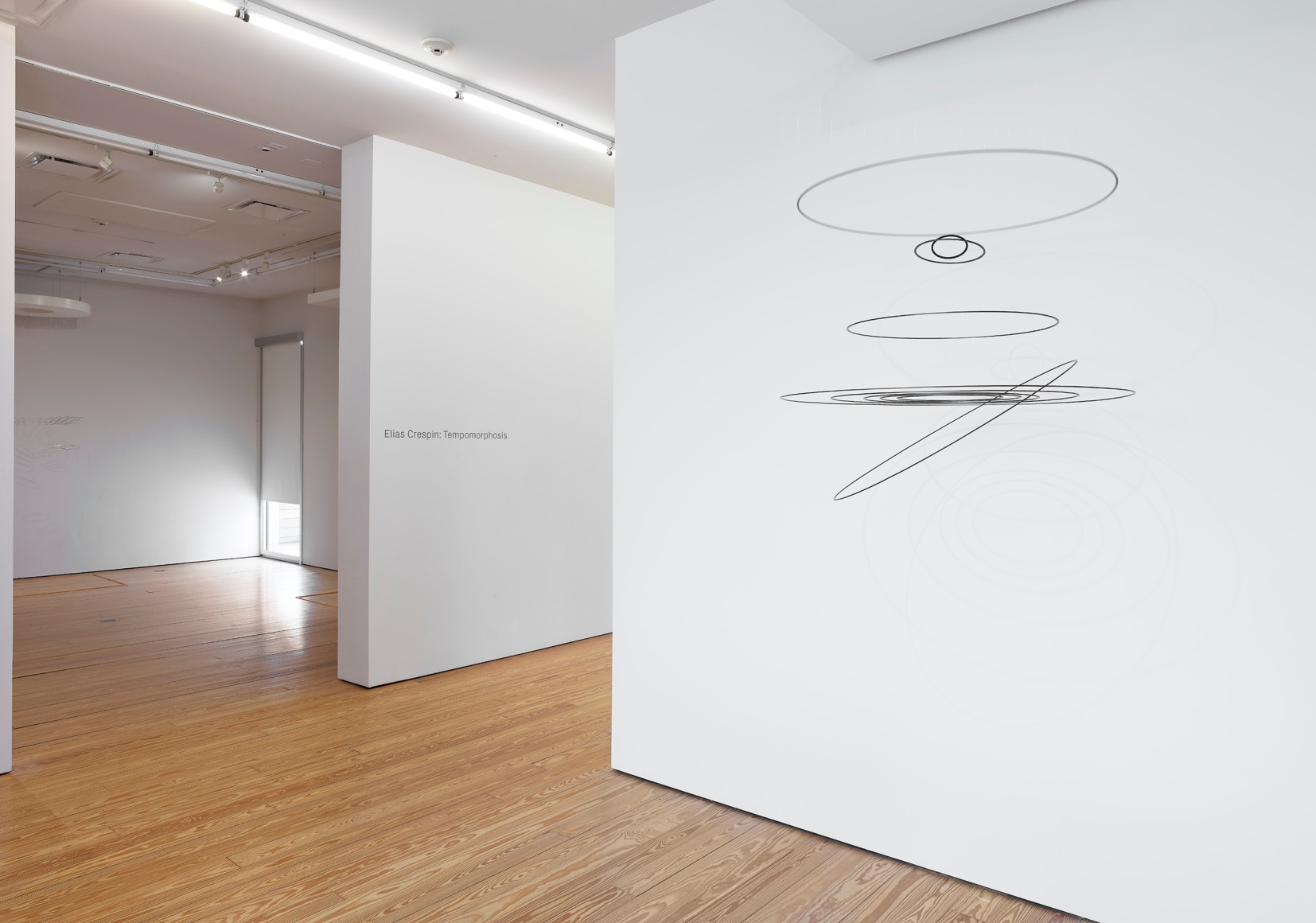 Installation view of&nbsp;Elias Crespin: Tempomorphosis at Sicardi | Ayers | Bacino, 2023.&nbsp;