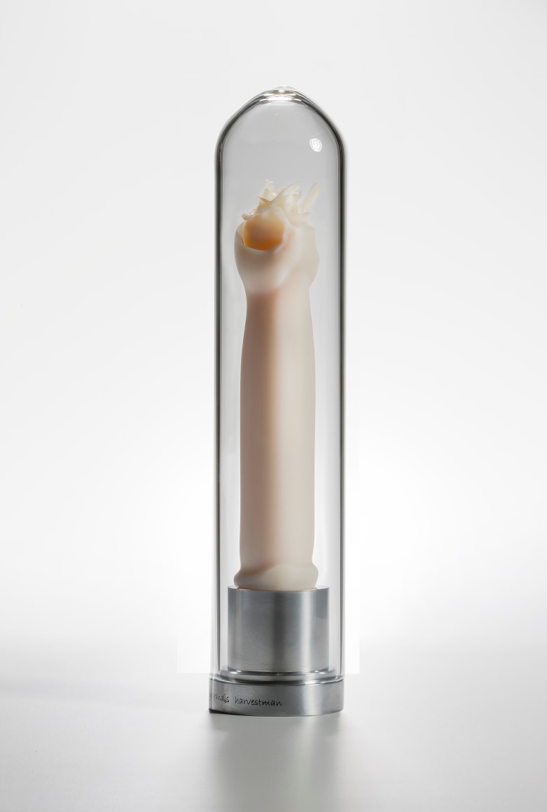 Maria Fernanda Cardoso,&nbsp;Intromittent organ of the Mestonia acris [Tasmanian harvestman] Opillones.&nbsp;[Edition of 5 + 2 AP], 2008-2009,&nbsp;Resin, glass, metal,&nbsp;11 x 2 3/8 x 2 3/8 in. (27.9 x 6 x 6 cm.)