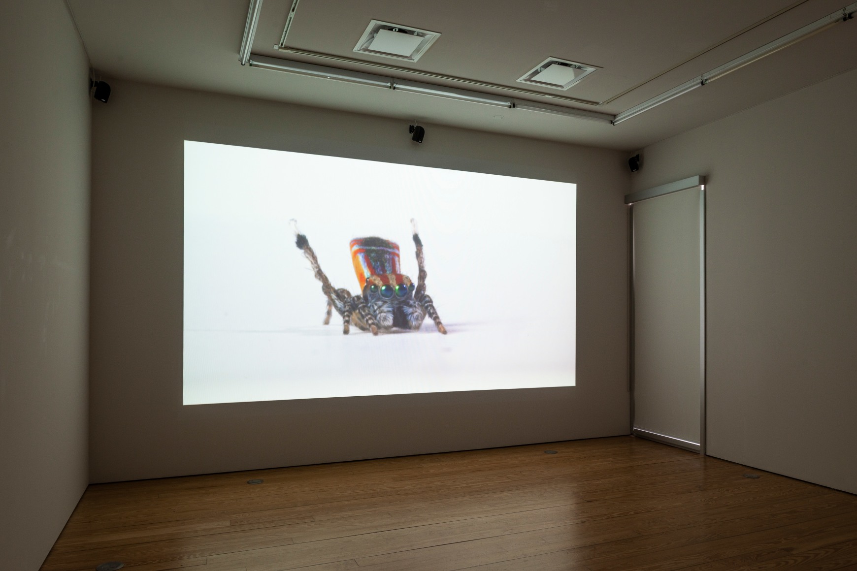 Maria Fernanda Cardoso:&nbsp;On the Origins of Art. Sicardi | Ayers | Bacino, 2018