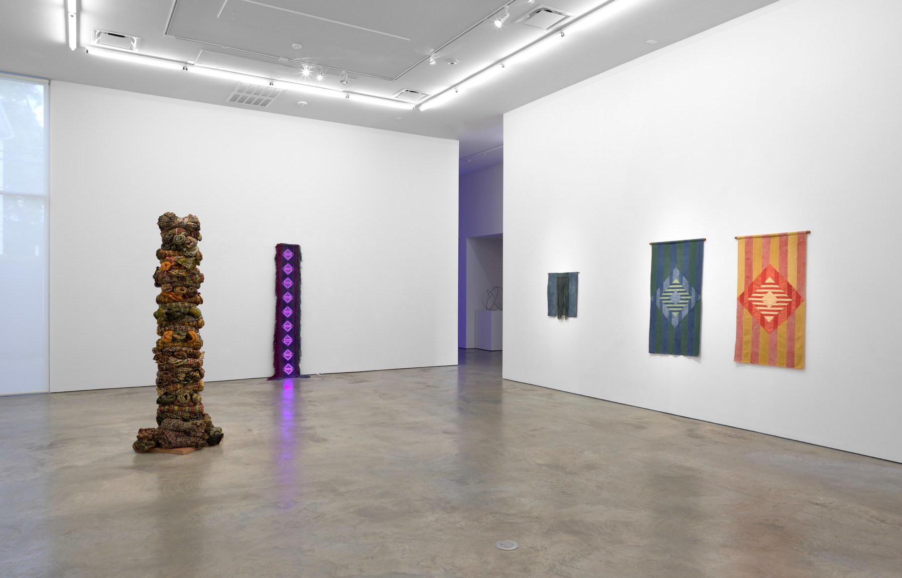 Installation view of Sandra Monterroso: The Healing Paradox at Sicardi | Ayers | Bacino, 2023.&nbsp;