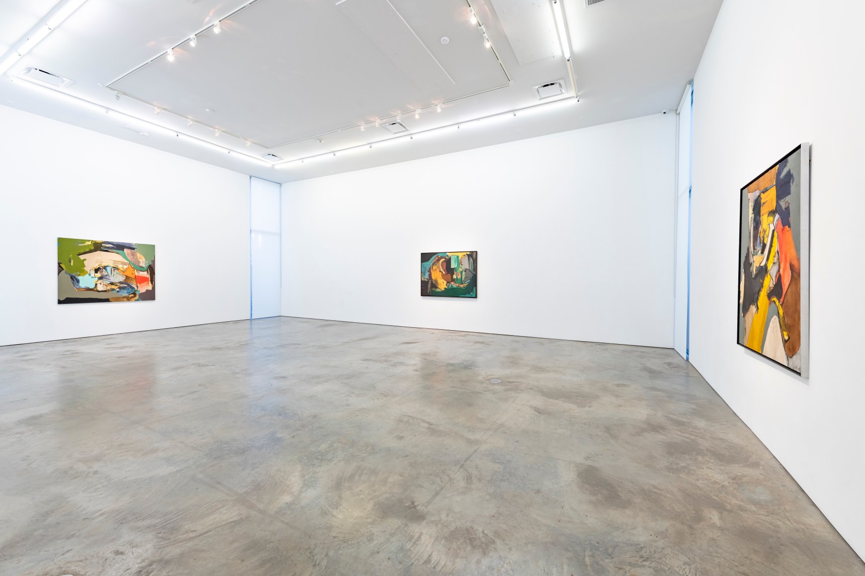Installation view of&nbsp;Fanny San&iacute;n: Eyes Wide Open, 2024, Sicardi | Ayers | Bacino. Photo by Anthony Rathbun.