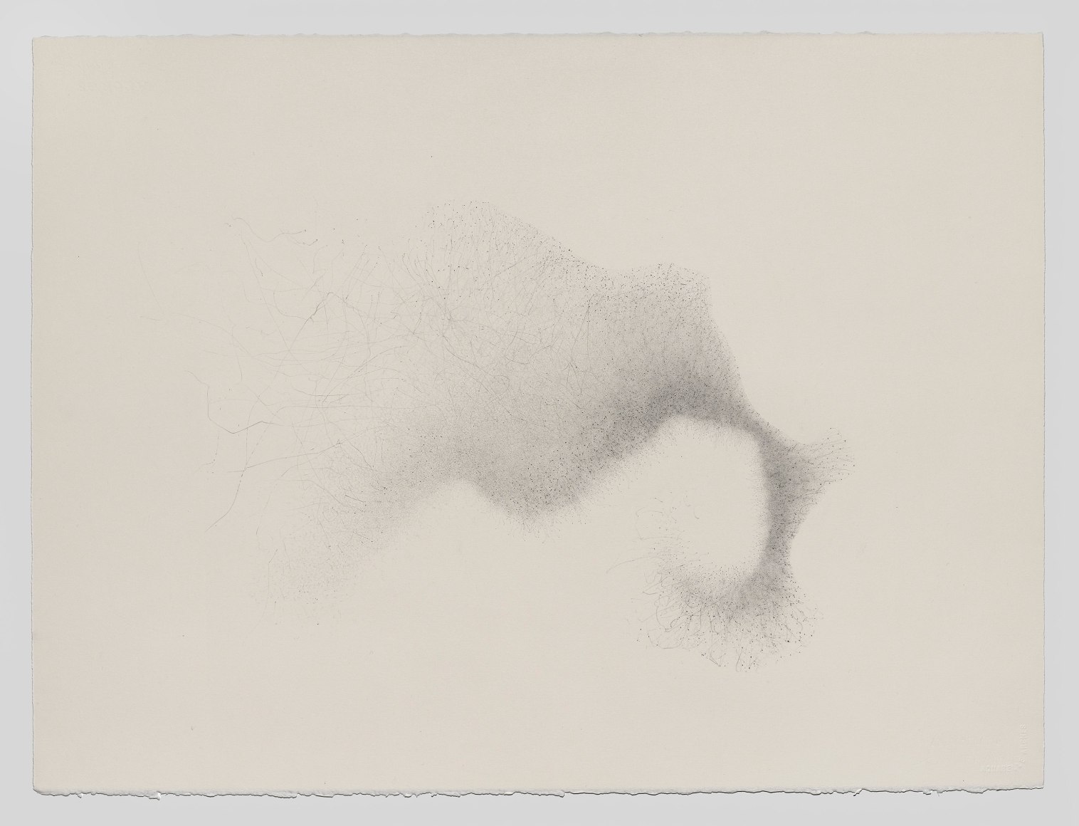 Gustavo D&iacute;az, Untitled, 2021. Graphite on paper, 22 5/8 x 30 1/8 in.