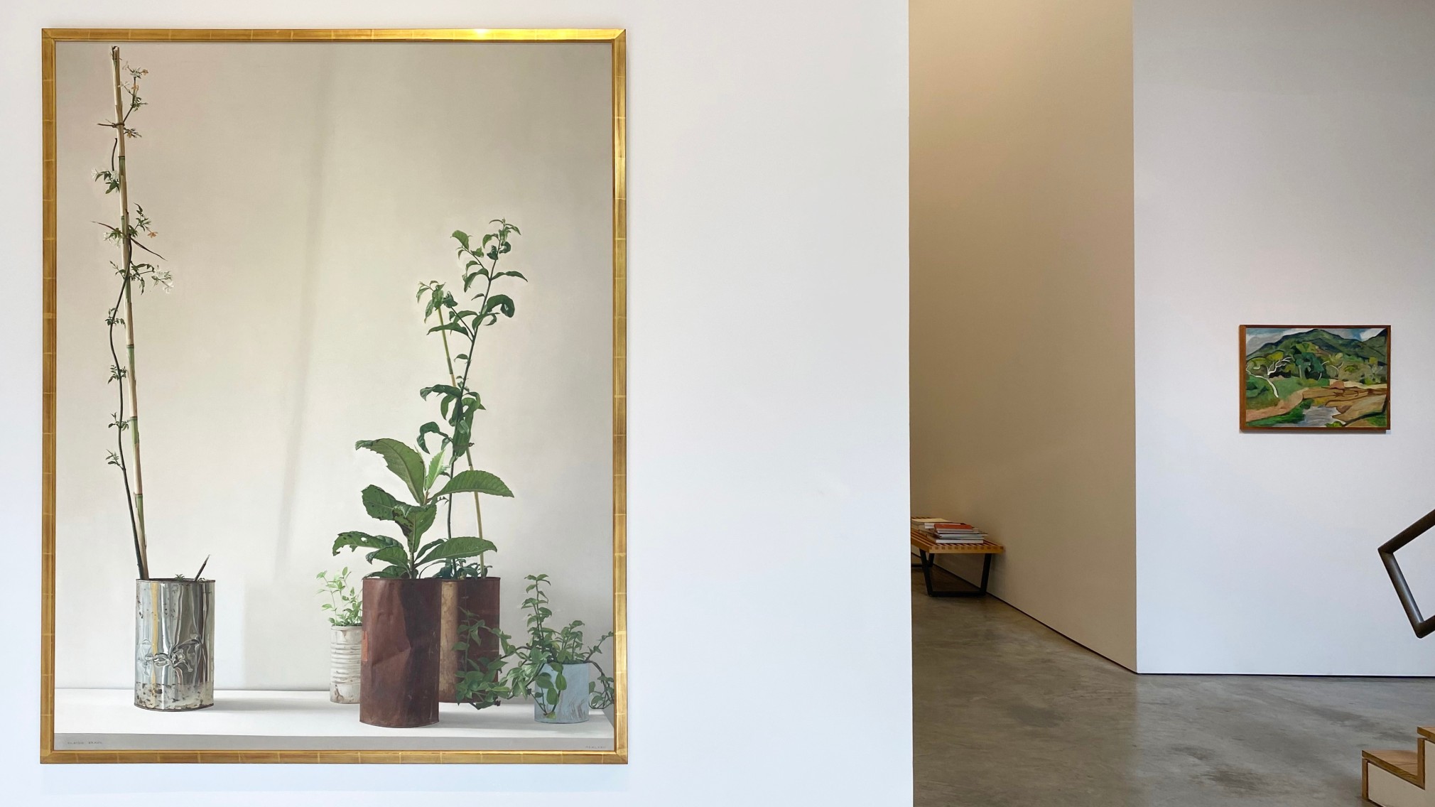 Installation view of the exhibition Nature at Sicardi Ayers Bacino, 2020.