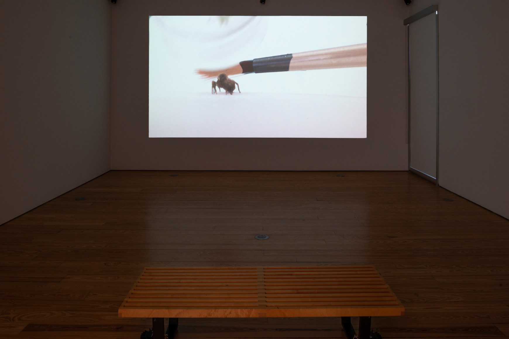 Maria Fernanda Cardoso:&nbsp;On the Origins of Art. Sicardi | Ayers | Bacino, 2018