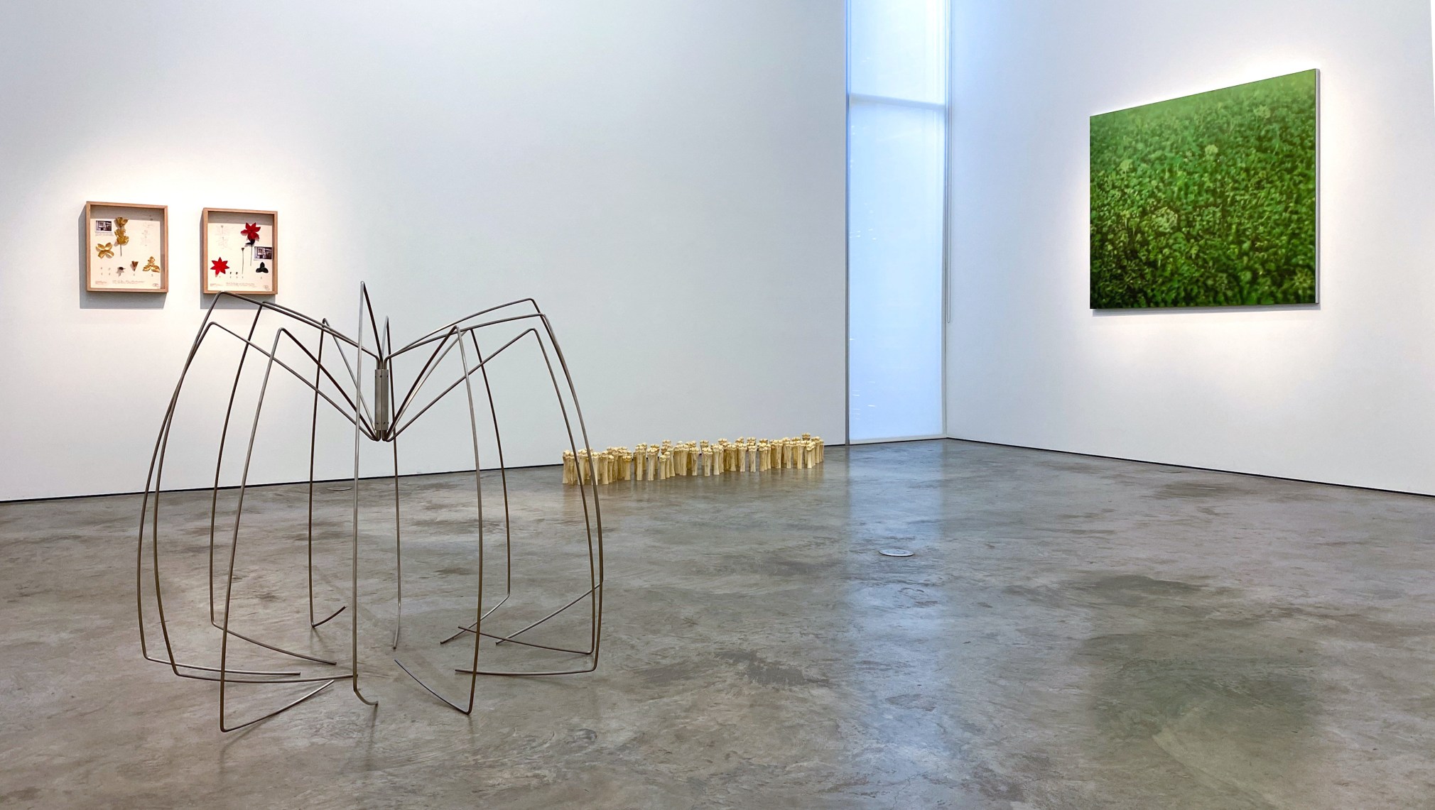 Installation view of the exhibition Nature at Sicardi Ayers Bacino, 2020.