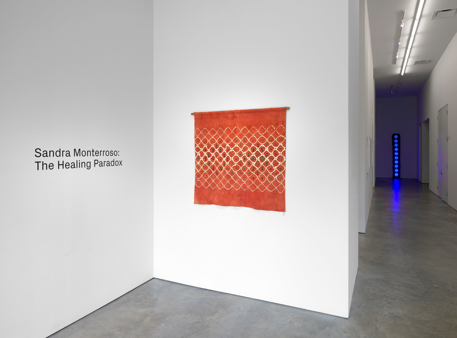 Installation view of Sandra Monterroso: The Healing Paradox at Sicardi | Ayers | Bacino, 2023.&nbsp;