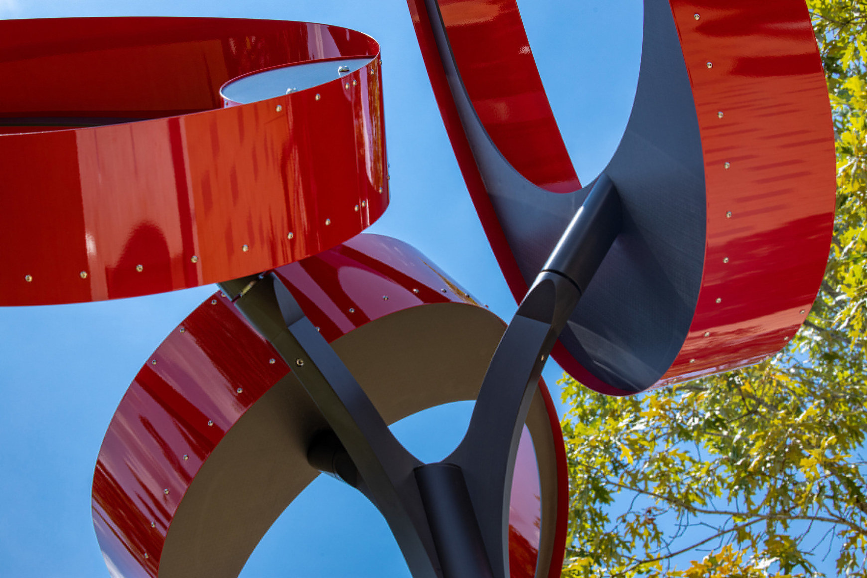 Pedro S. de Movell&aacute;n,&nbsp;Ibis, 2020. Creekside Park Village Green, The Woodlands, Texas. Photo courtesy Mauricio Ramirez