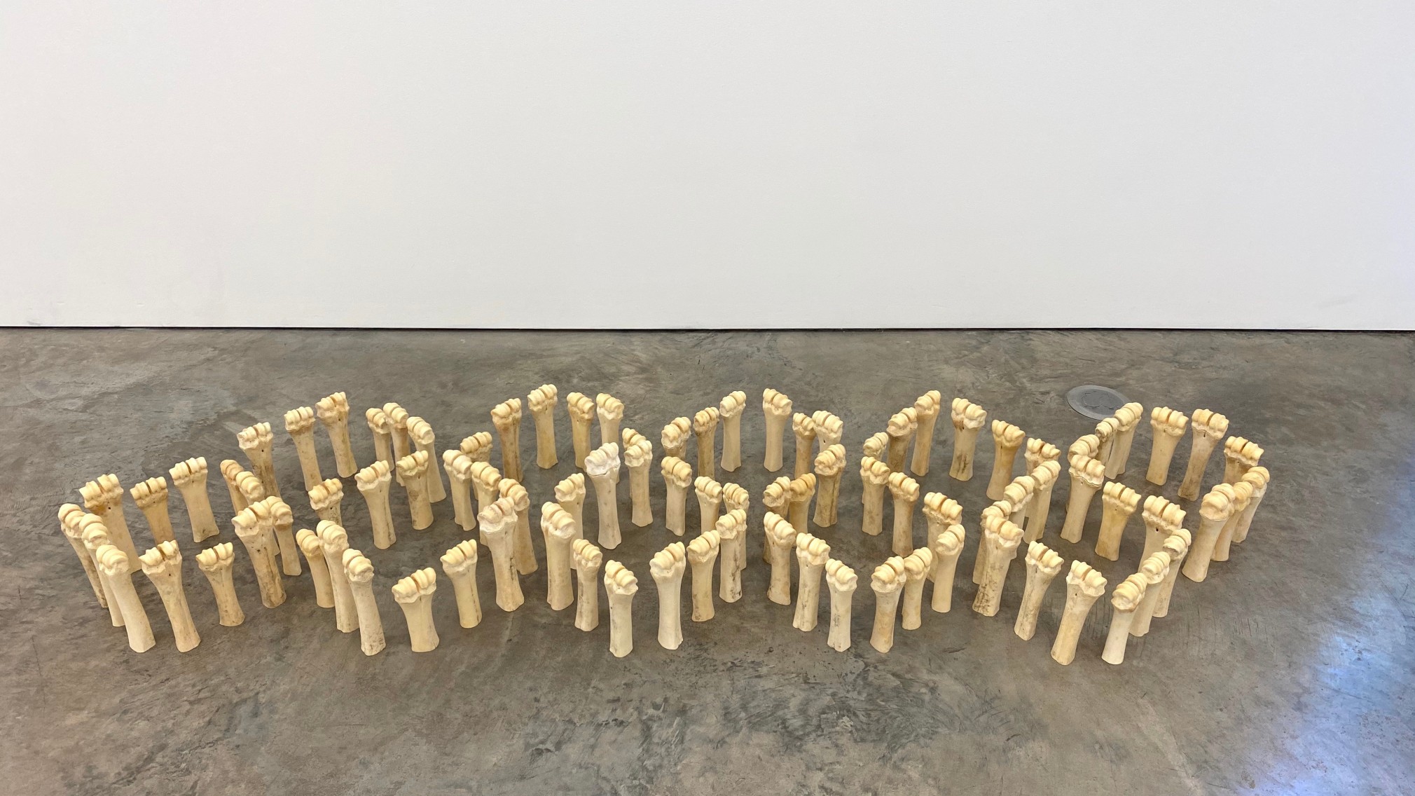 Mar&iacute;a Fernanda Cardoso, American Marble, 1992. Cattle bones, 90 pieces, 12 x 25 x 86 in. (30.5 x 63.5 x 218.4 cm.), &nbsp;