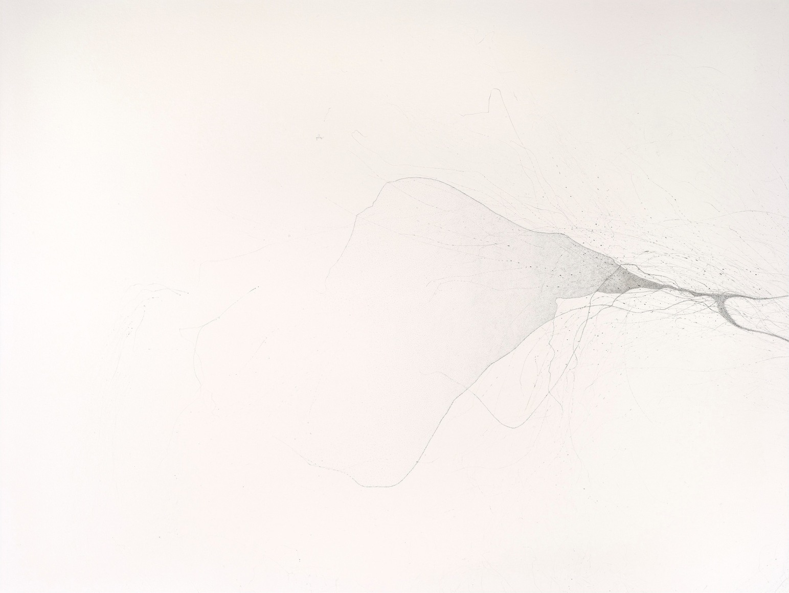 Gustavo D&iacute;az, From the series: Imaginary Flight Patterns V, 2021. Graphite on paper, 46 x 63 &frac12; x 2 &frac14; in. (116.8 x 161.1 x 5.7 cm.)