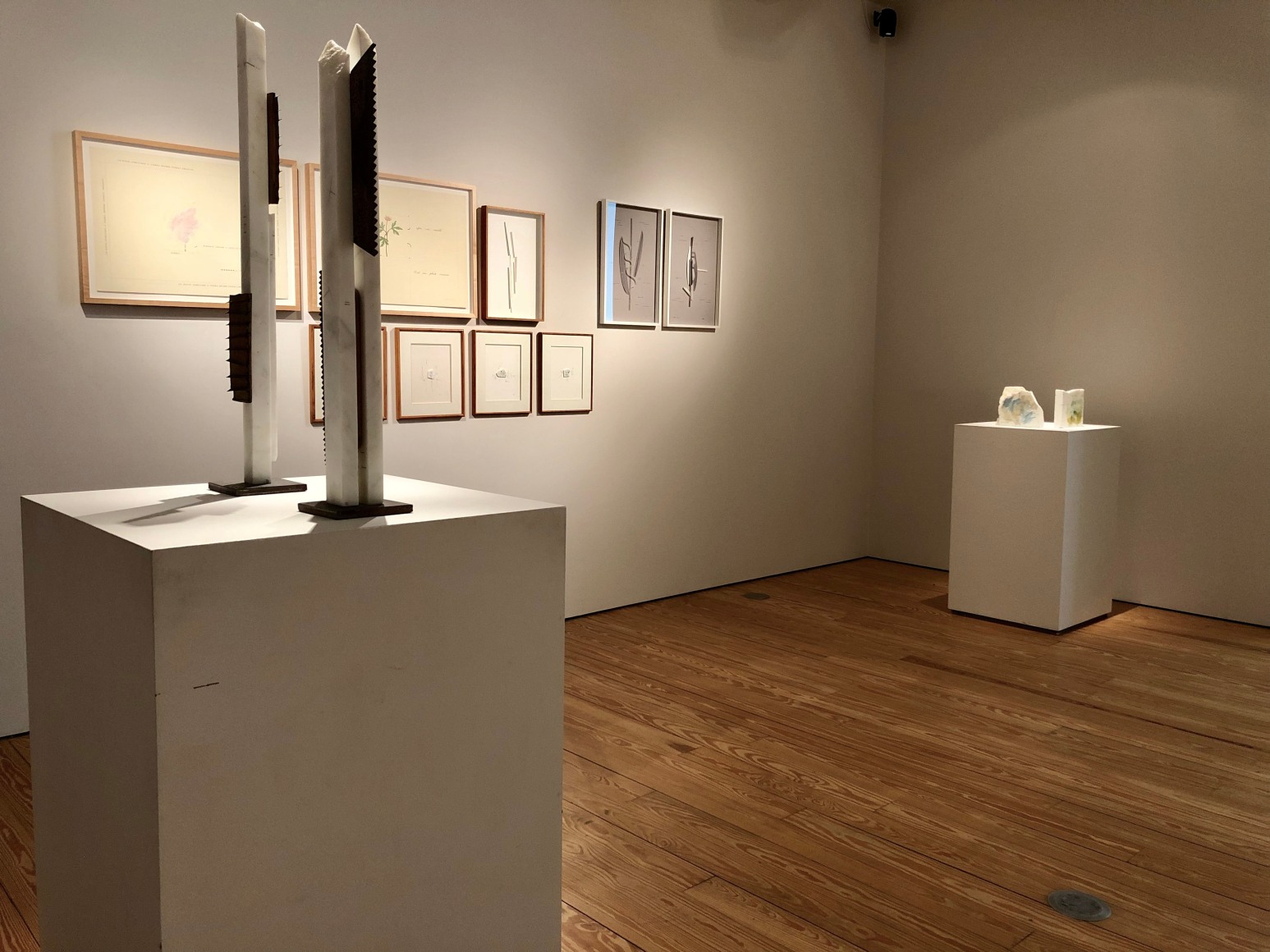 Maria Fernanda Cardoso + Marie Orensanz